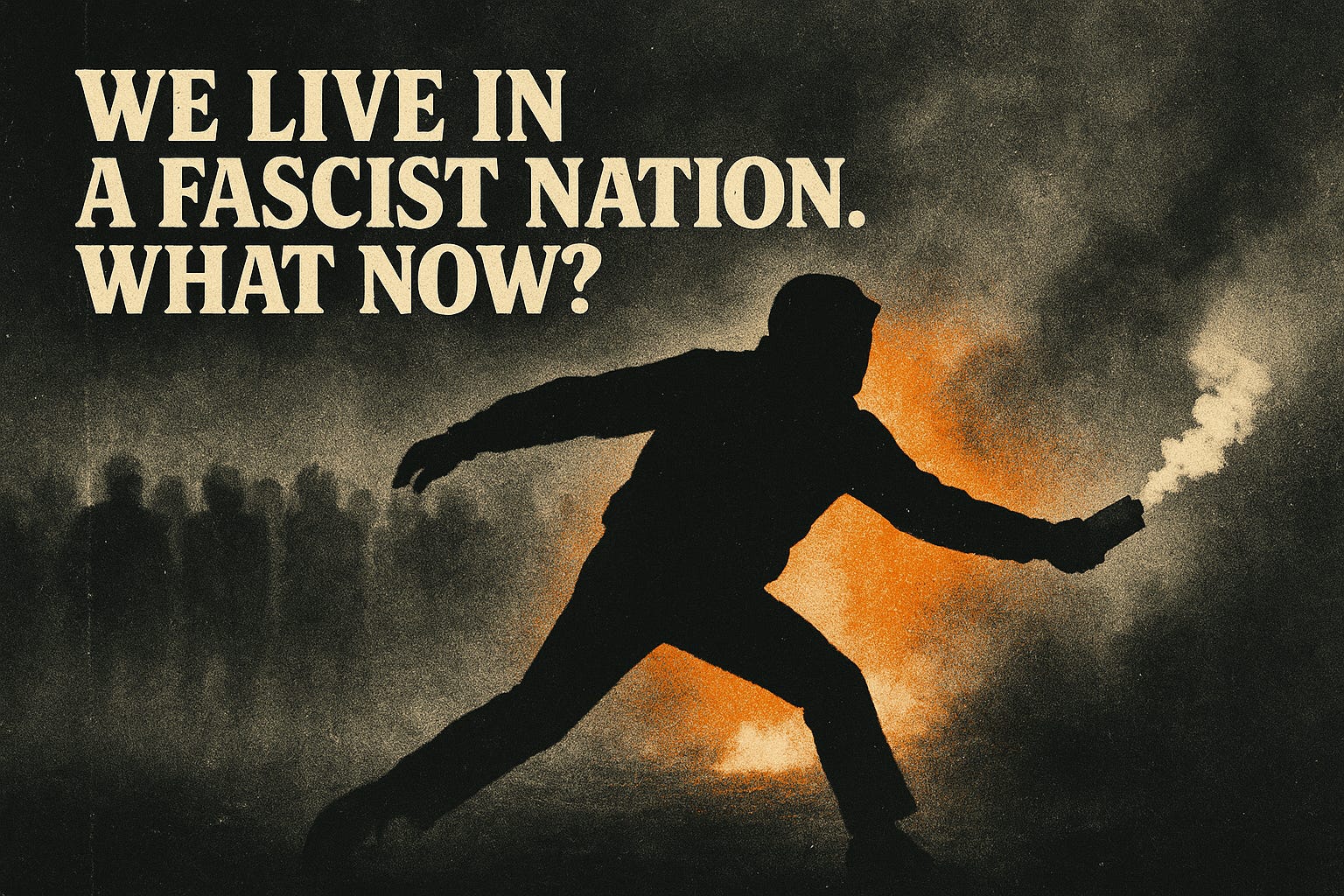 We Live in a Fascist Nation - What Now?